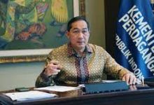 Mendag : Produk Komposit asal Indonesia dapat Akses Pasar  Uni Eropa Kembali