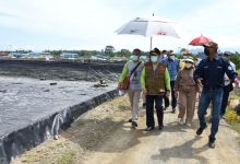 Gorontalo Miliki Potensi Bagus  untuk Pengembangan Budi Daya Udang Vaname