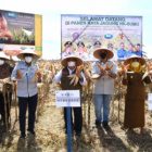 KNPI Gorontalo Kembangkan Budidaya Jagung untuk Masa Depan Ekonomi Daerah