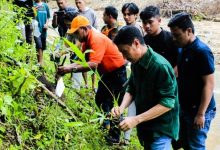 Nelson : Penanaman Bambu di Areal Bantaran Sungai  Sangat Efektif Antisipasi Erosi