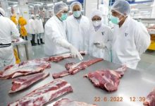 Pastikan Daging Kerbau Bebas PMK, Direksi BULOG Lakukan Inspeksi Langsung ke India
