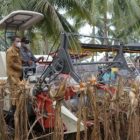 Panen Jagung Perdana di Desa Ombulo Bagi Penjagub Hamka Sangat Istimewa