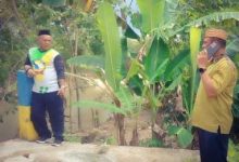 Sekda Roni Penuhi Aspirasi Masyarakat yang Inginkan Perbaikan Jembatan Gantung