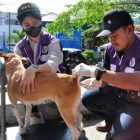 PDHI Gorontalo Bertekad untuk Cegah dan Kurangi Kasus Kematian Manusia Akibat Rabies