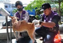 PDHI Gorontalo Bertekad untuk Cegah dan Kurangi Kasus Kematian Manusia Akibat Rabies