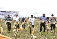 Malaysia Yakin Gorontalo Bisa Penuhi Kebutuhan Jagung di Negaranya