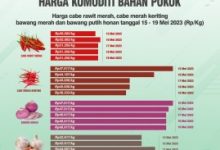 Hasil Pantauan Diskumperindag Diketahui Harga Cabe Rawit dan Bawang Putih Naik