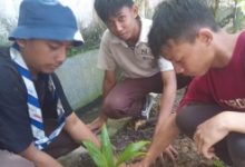 Peserta Camp Area FPLD 2023 Telah Tanam 100 Bibit Kelapa di Pentadio Resort dan Bantan Danau Limboto