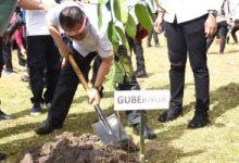 Pada Kegiatan Polri Lestarikan Negeri, Penjagub Ismail Ikut Tanam Pohon di Bumi Perkemahan Desa Bongohulawa