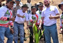 Nelson : Adanya Taman Kelapa Dunia Ini Diharapkan dapat Dorong Semangat Masyarakat Tanam Kelapa