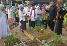 Nelson Akui Bangga Dikembangkannya Kampung Wisata Herbal di Kabgor