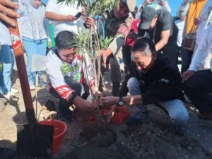 penanaman pohon