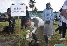 Nelson Berharap Penanaman Pohon Pelindung dapat Dilakukan Secara Berkelanjutan