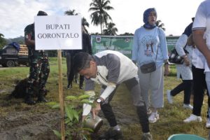 Nelson lakukan penanaman pohon pelindung di PTRouyal Cocvonut