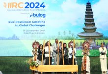 IIRC 2024 yang Digelar BULOG di Bali  Bahas Isu Perberasan Dunia Ditengah Banyaknya Tantangan Global