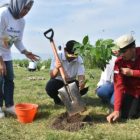 Jaga Kelestarian Lingkungan, Pemkab Gorontalo Bersama PT TASPEN Tanam 300 Pohon di Bantaran Danau Limboto