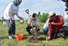 Jaga Kelestarian Lingkungan, Pemkab Gorontalo Bersama PT TASPEN Tanam 300 Pohon di Bantaran Danau Limboto